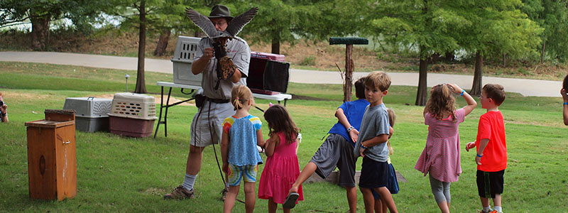 A falconer presenting a bird of prey to a group of children on a lawn