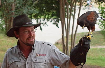 Kevin Gaines in a hat and glasses with a Harris’s hawk perched on his gloved fist